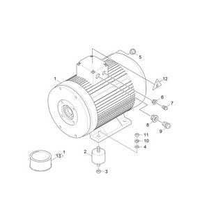 Мотор | Аппарат высокого давления HD 25/15-4 Cage Plus (1.367-122.0) Karcher