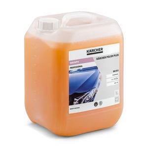 Защитное средство Polish Plus RM 831, 10 л #6.295-110.0